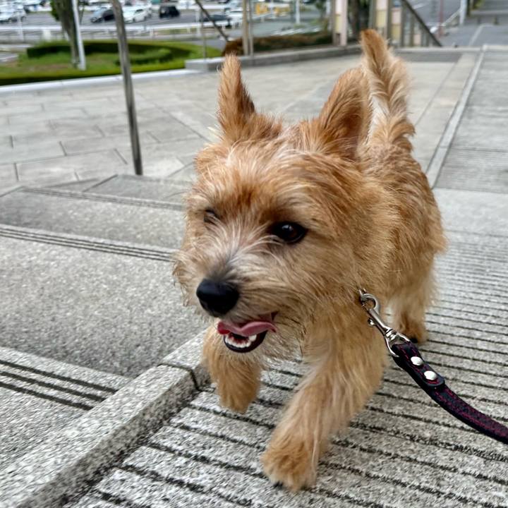 Dee8d54d 9e87 4070 b66c 3528038f9641 1724076045125