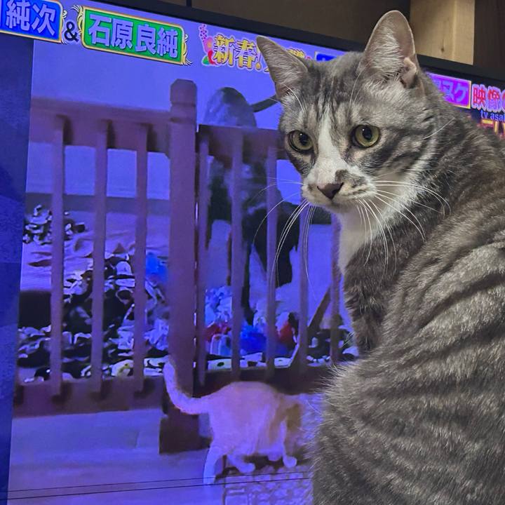 Dee8e649 31ad 4129 a01e 9f7afd8e7e28 1768009701784