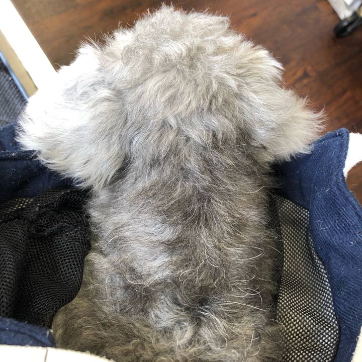 Dee8f86f e8f7 4285 a066 fe67b8757316 1662167202390