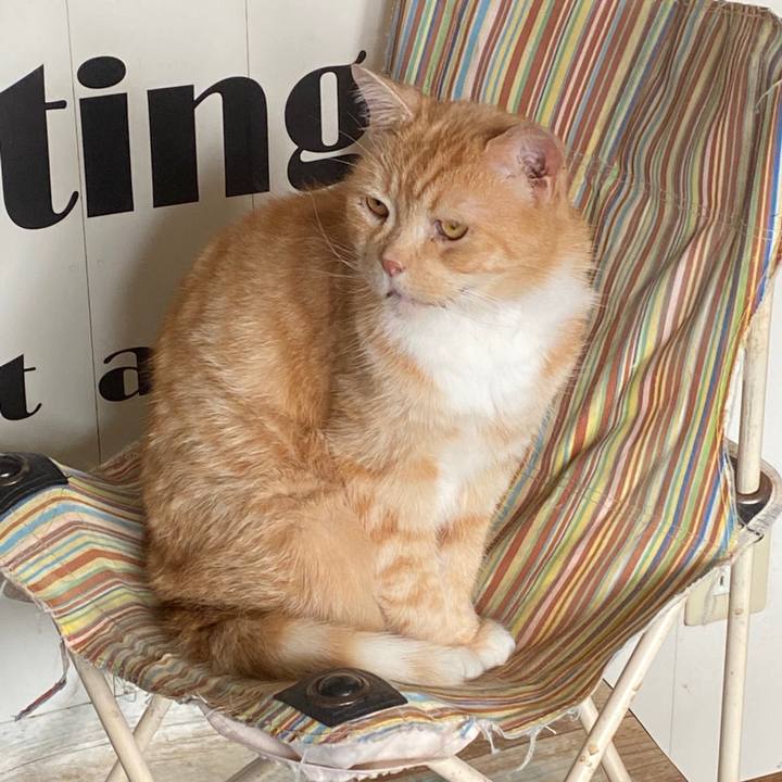 Dee946c5 5a2f 4474 86d4 b5ee9fb0b6d8 1591493335605