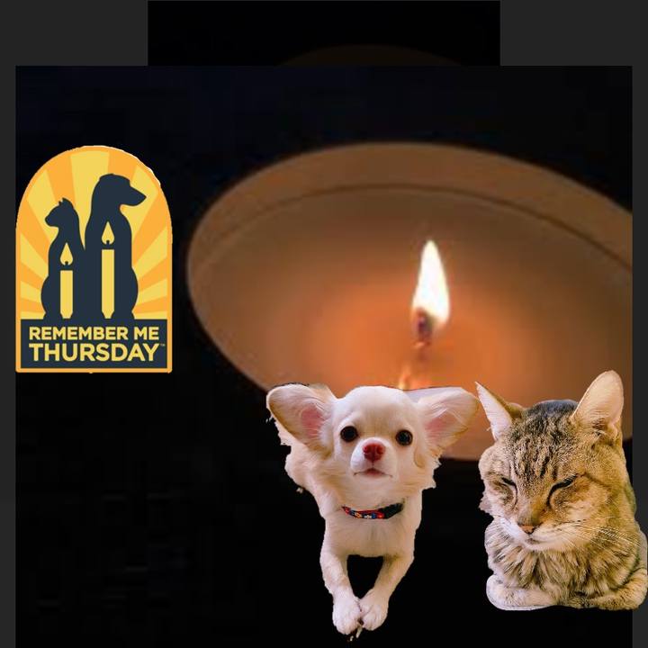 Dee9858b 5c42 47f9 aa06 e507f95a259e 1632378795942