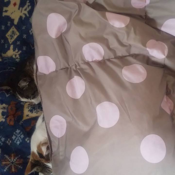 Dee99878 f7cd 41d6 aa96 e4e3b034b3c7 1677193489112