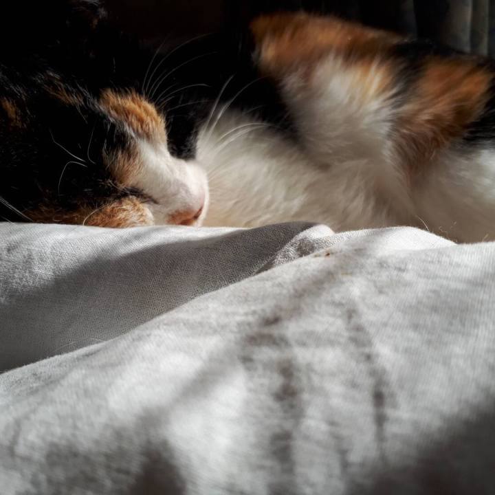 Dee99c4d c8f9 4c92 9bae edcf2a8dbc3f 1513933019236