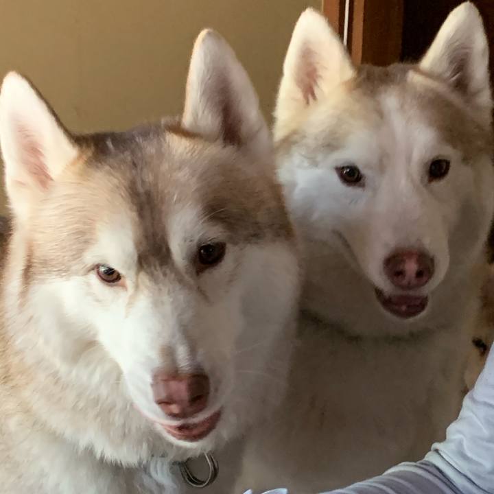 Dee9bcc4 aeaf 4ff4 8b78 b08972ebb856 1619242151163