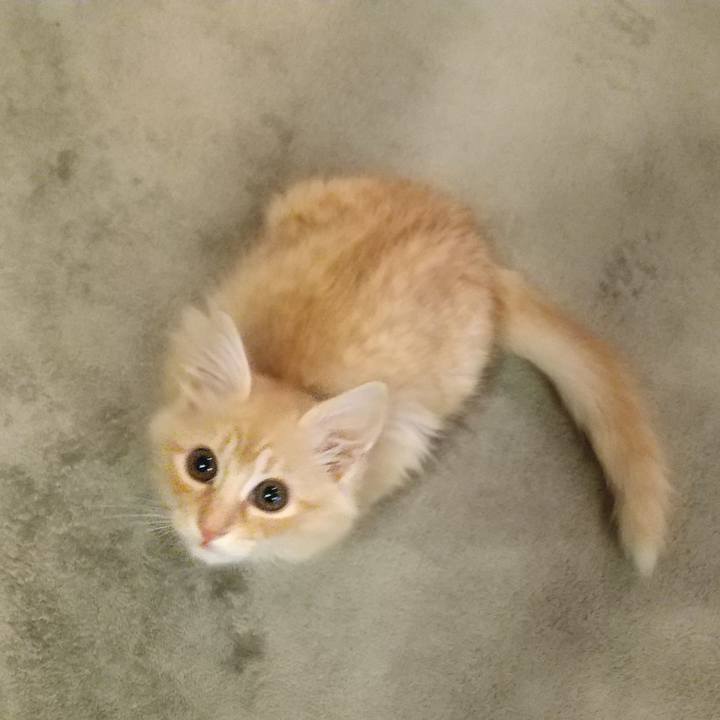 Dee9c8e2 17eb 44b2 b49a 1dcd84fccc27 1605477086294