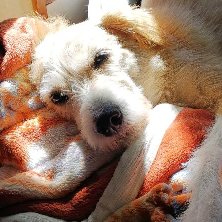 Dee9e453 1337 41a7 b0ee b0ee8adf63bd 1538100714043