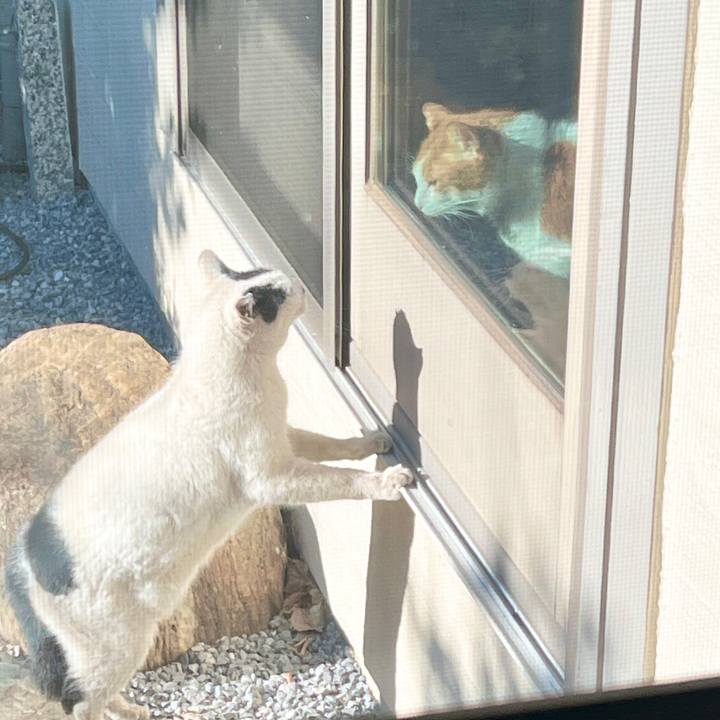 Dee9f122 32cc 4a80 a866 1a5ff6fed354 1770163083906