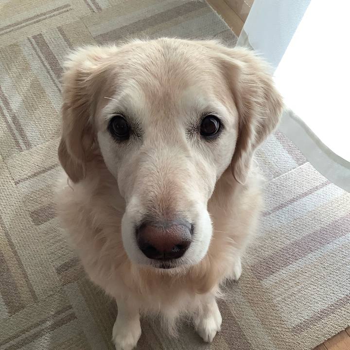 Deea0009 f4e0 48b1 afb3 a4dd1b27ff9f 1577750896553