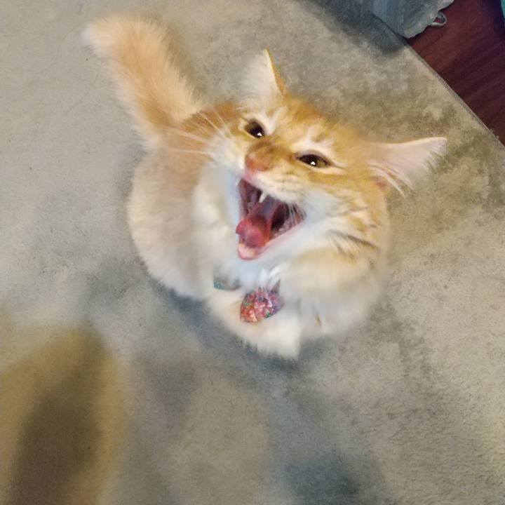 Deea00e5 e0a2 4f5c 948e 74f8428f9618 1633001926708