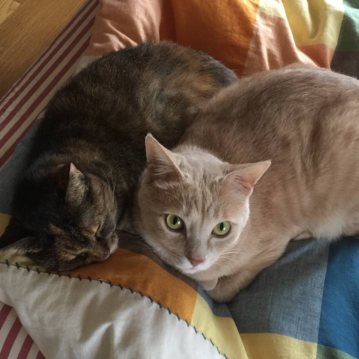 Deea0960 151c 4349 a40e 351da3b7dc9c 1569241012702