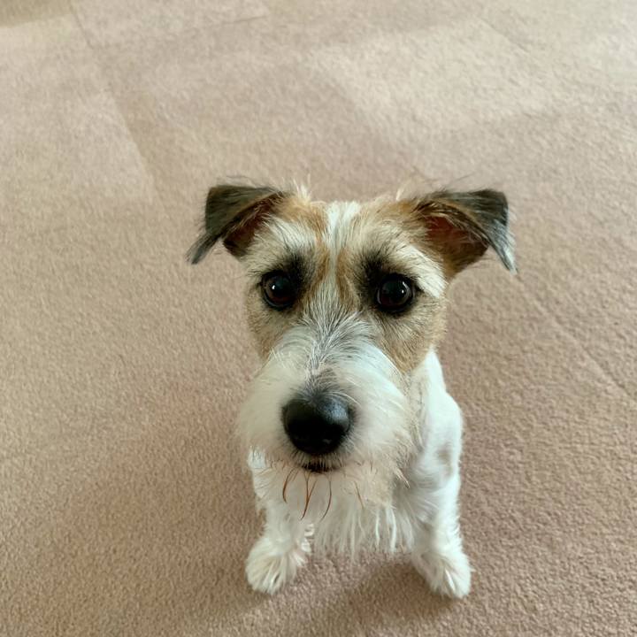 Deea3846 645d 4eeb a230 3d69c6af0e4c 1629608113369