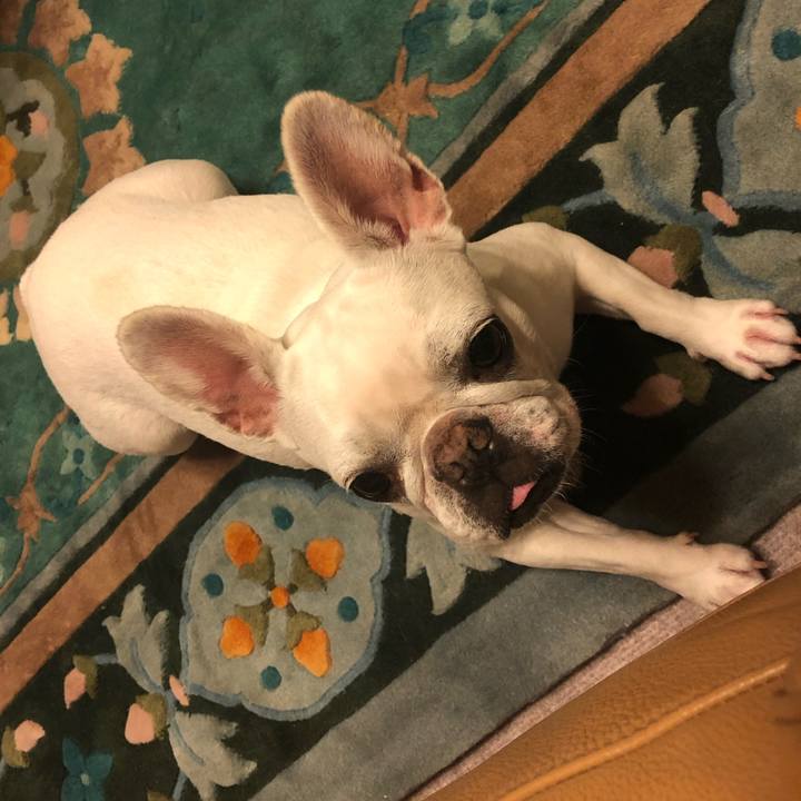 Deea53d4 2c5f 4b07 863e 501583fb16a4 1595498605197