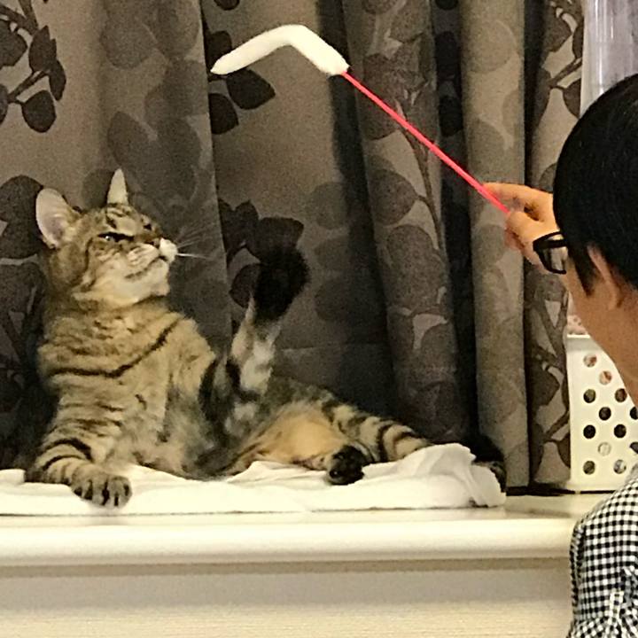 Deea5ff4 5963 4298 a61e 9bf907c3b831 1597372961948