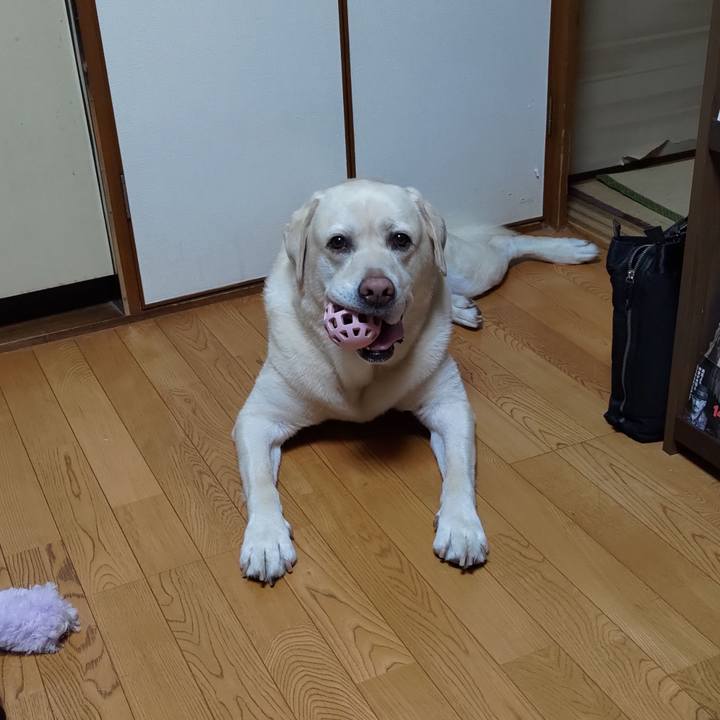 Deea6f38 2daf 456d 8997 e6ae5b6bd3c9 1691108937020