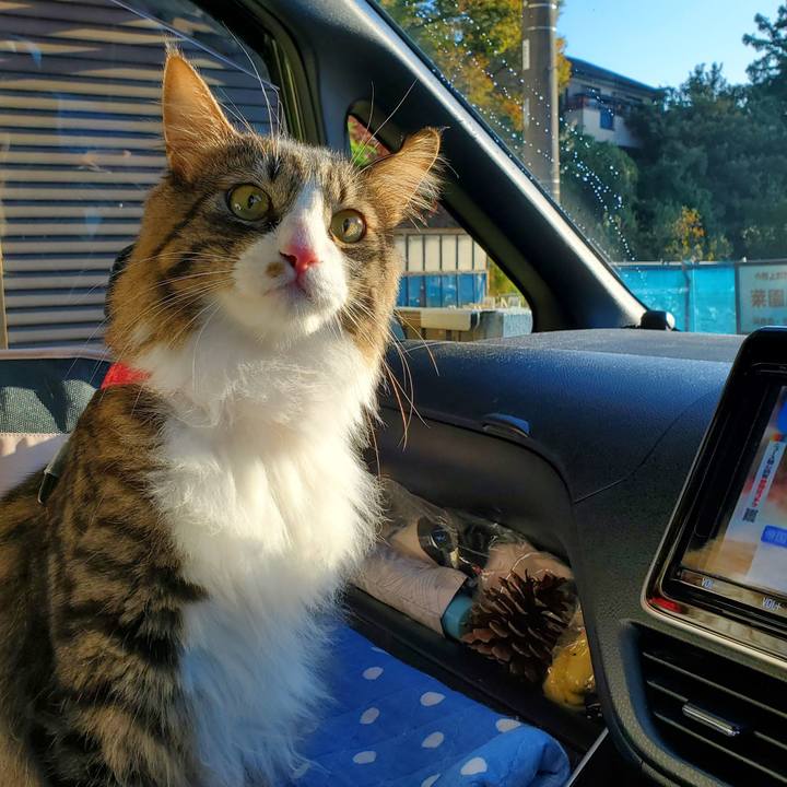 Deea7725 5e53 4042 a2c6 b2718e770377 1702182922880