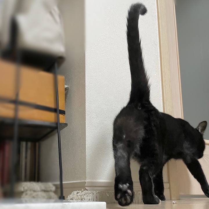 Deea7878 aad2 483c b996 2debbd309088 1661431131324