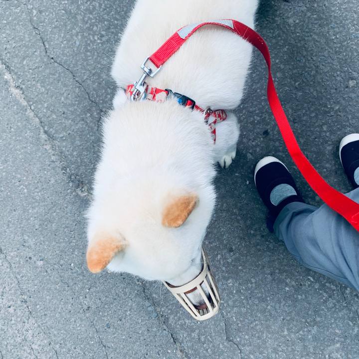 Deeafddc 2b2c 4097 a97b bfb86ff96cbf 1562878875209