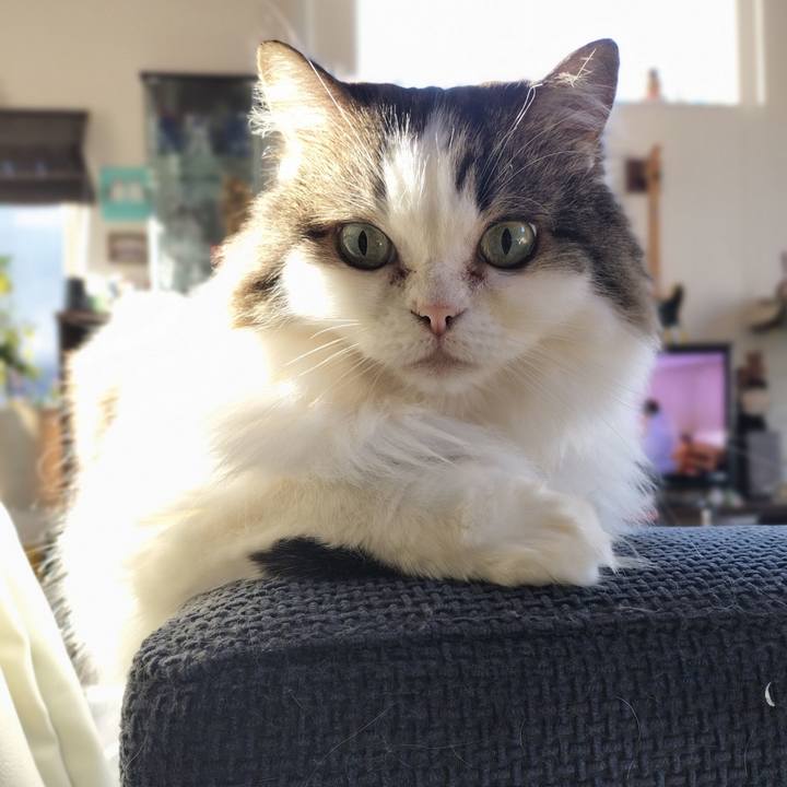 Deeb10c3 cd8e 4a10 9b61 8485be1a6c29 1762300458167