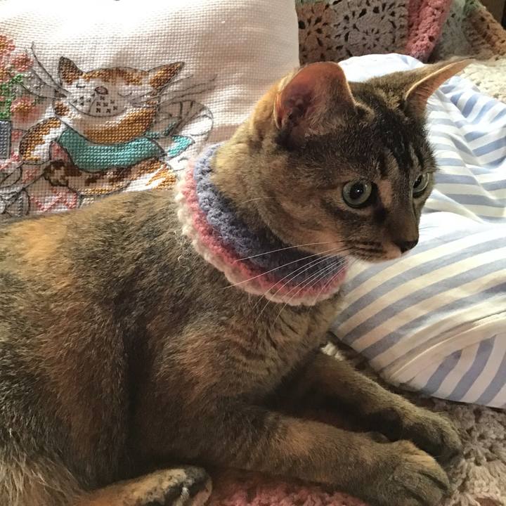 Deeb3672 0577 404e 8bab 97a8a90e45c4 1626130568799