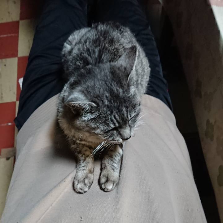 Deeb3fef 5aba 4048 bd28 e5531eb4dd66 1573902983577