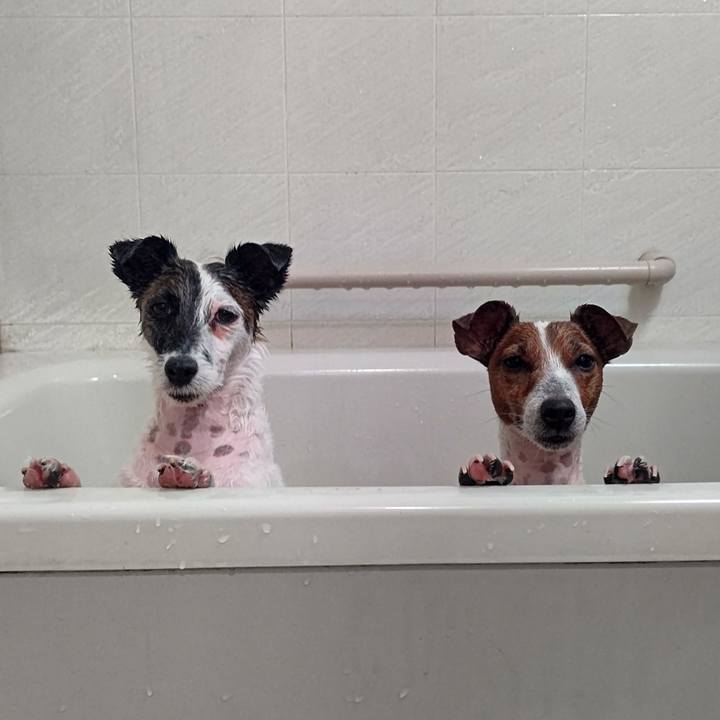 Deeb7804 b521 4a41 bdb2 f64cc9ccd870 1702554619701