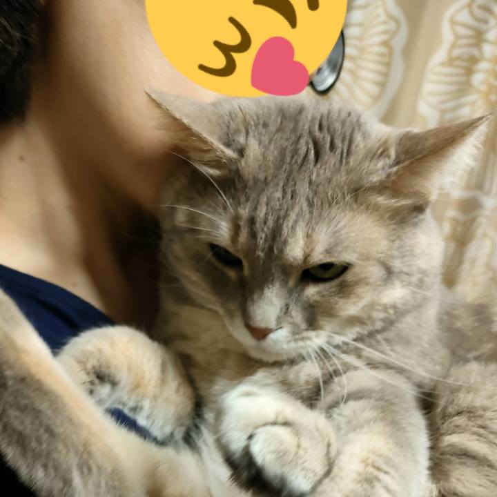 Deebb818 3e5f 41bf 900b 3ca1b687fc21 1690083807558