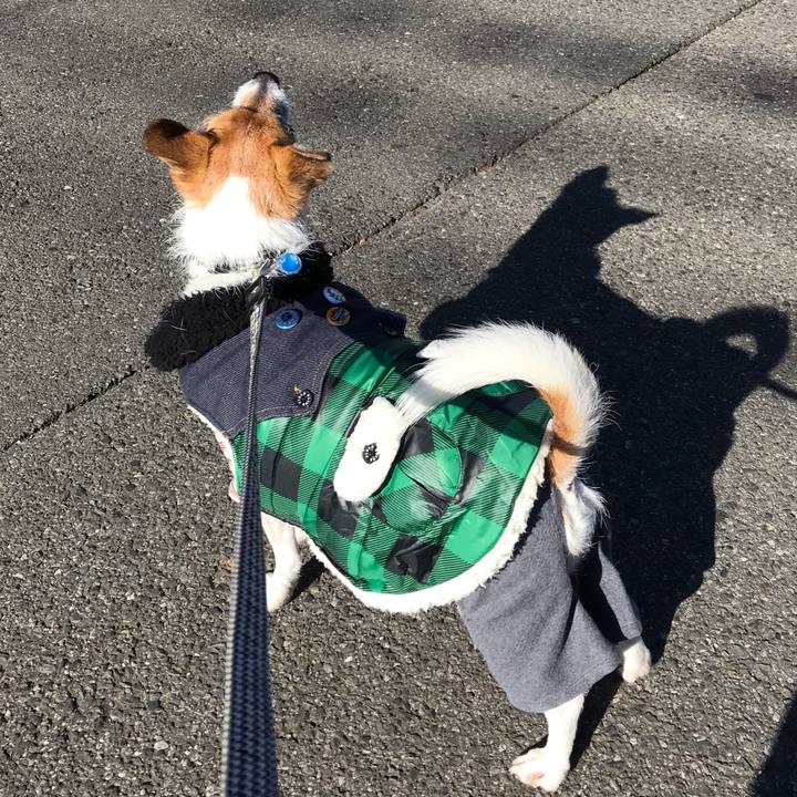 Deec0a60 6180 490d 8217 91cb3b4228fe 1547775429226