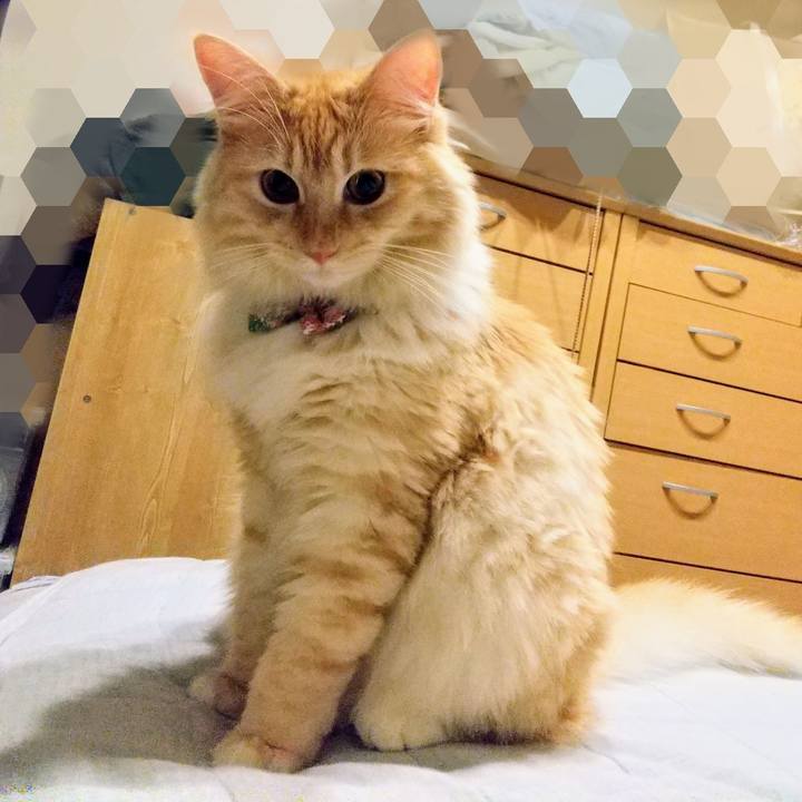 Deec16b9 32ab 492a 94e8 90d087ad61aa 1630069981786