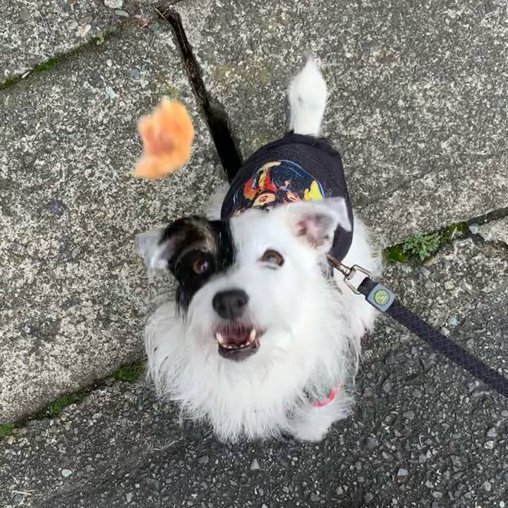 Deec2b93 c100 4041 b31b c609b01649d0 1665277902962