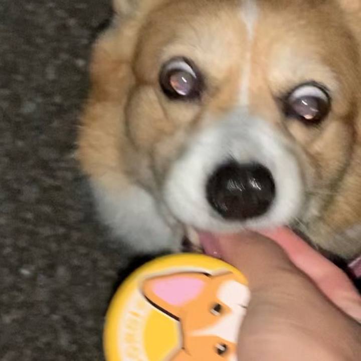 Deec48d8 c389 48fc 8289 12e6dd222416 1697446774289