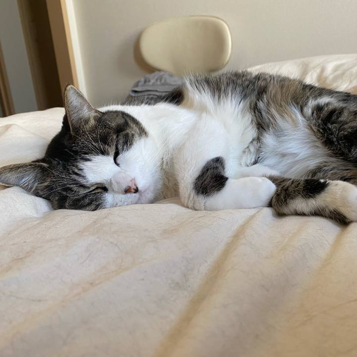 Deec7e7d 20c8 417c b09f 505ffc3b514f 1600762201773