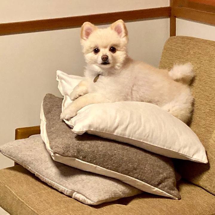 Deec84f6 e188 4c18 8163 fca39f5188db 1632913756004