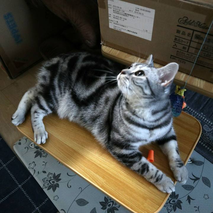 Deec90aa f866 45cd 8d34 cee4c57748a9 1581827062193