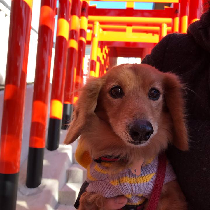 Deeca4e2 3f5b 4339 ba29 6b861544bea0 1546581239635