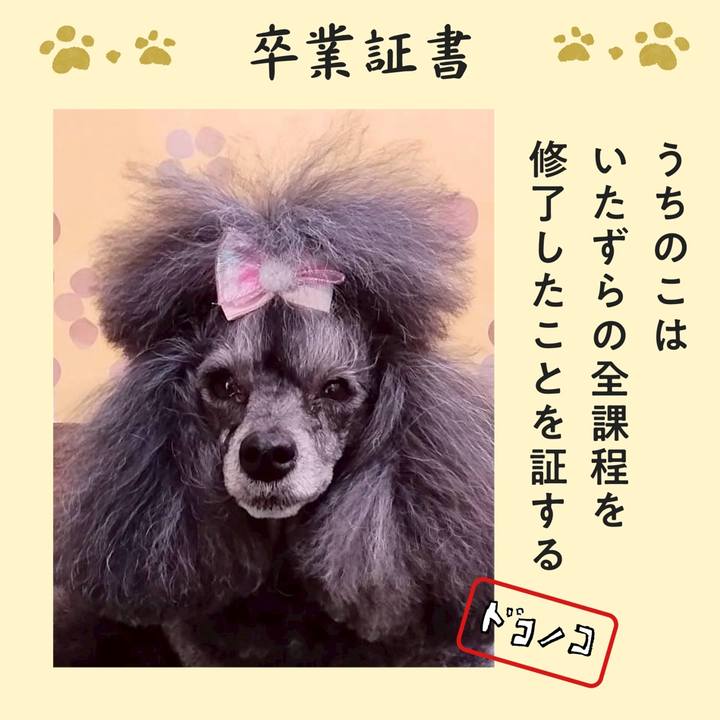 Deecaf54 c02f 421a bc0e 65cc071f792d 1771937474043