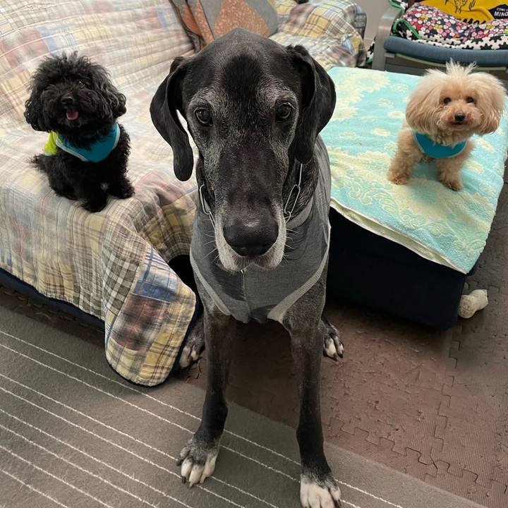 Deecc6be 5a94 4b23 8df3 519dcaec356e 1620254650714