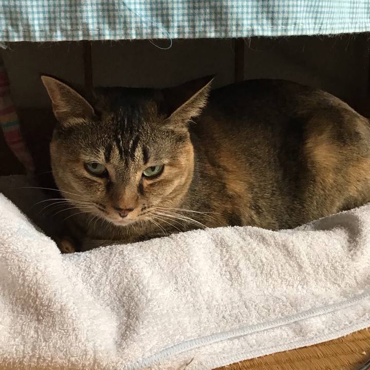 Deece543 a4d6 4347 bd05 77a10b1cf095 1671622733405