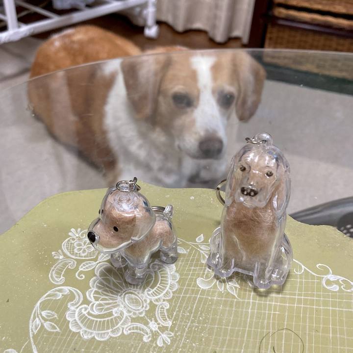 Deed14ed 0fd6 4cc0 ad1e ffe392f8d6d2 1753624489290