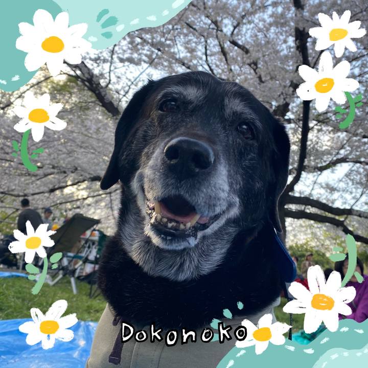 Deed2e51 985a 4209 be1e fec8f0339c7b 1712489279953