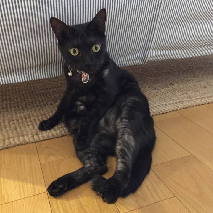 Deed569d 3699 42df 8dfe d7ac9aa0ad68 1535961775441