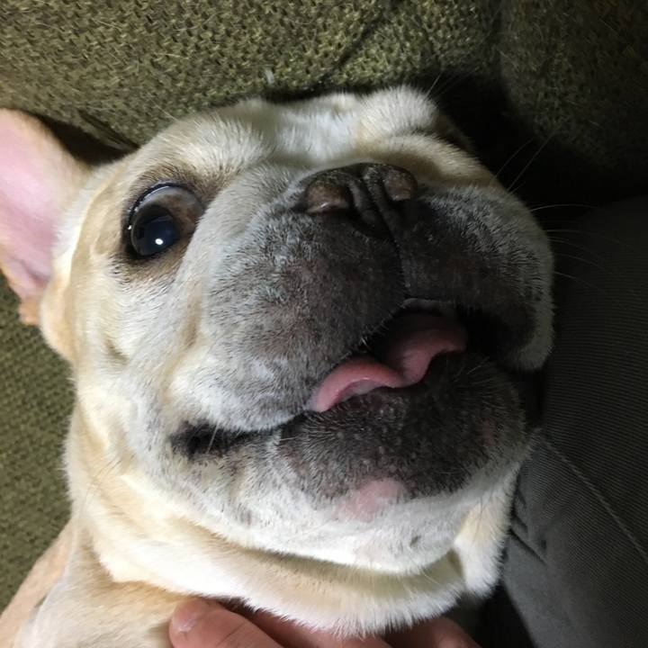 Deed58ac 28e7 4af9 bdcb b689aae3a5bb 1509016345090