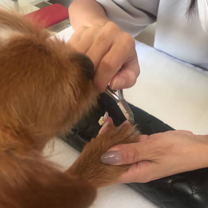 Deed6fda bf6c 4670 a2b0 b3cbcd7faa9d 1560490296869