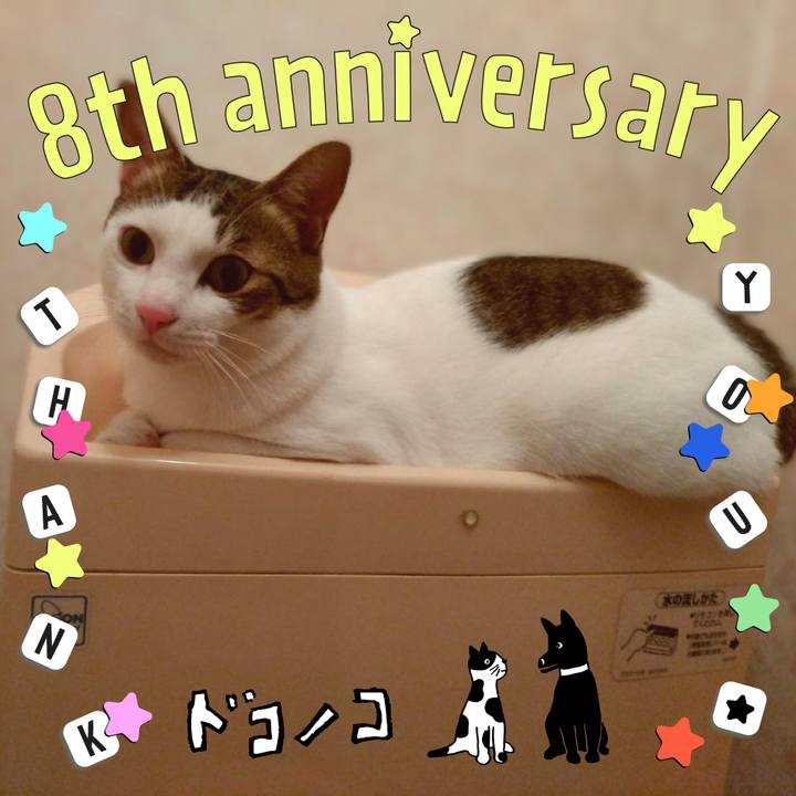 Deed7121 2e0f 4ee7 91f3 94b8aec403b3 1717593482986