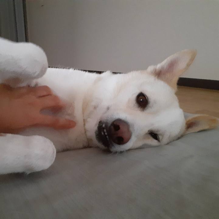 Deed7c54 386e 4daf ade5 f5d1d7d2f65e 1664008066112