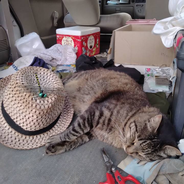 Deed9230 8b02 45c4 a95e 2e91a8dd94d3 1721382630771