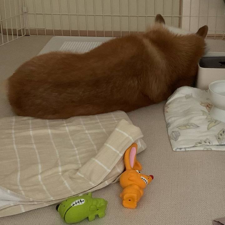 Deed9f61 51f3 4c8f a8a2 49f3196a33a8 1718448200825