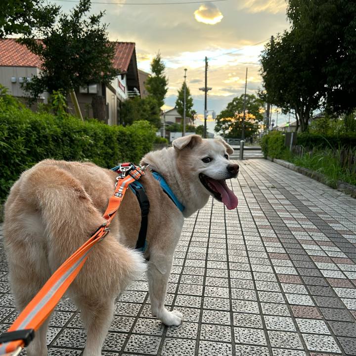 Deeda764 ae97 41a4 97a1 8fbac721833d 1694080409968