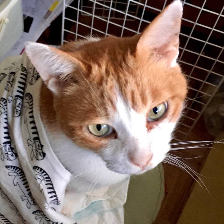 Deedc846 6175 42ca b427 6c38c65ef96b 1571210196276