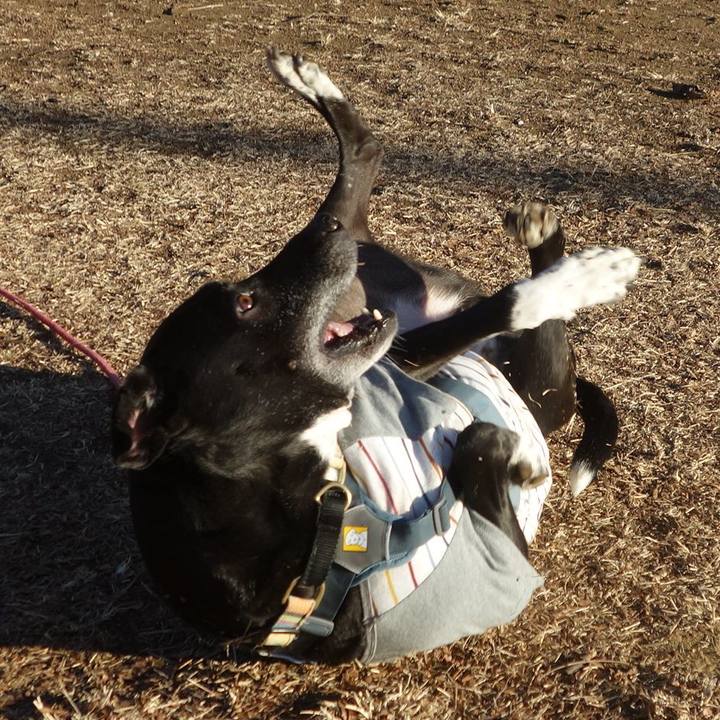 Deee18c8 5667 464d ae34 8af8963ffc05 1705539389065