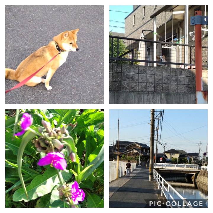 Deee3d43 8afe 49f8 b621 d74489d7ac87 1653688102747